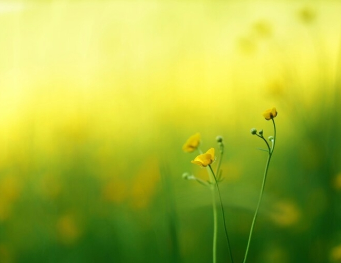 Повышай иммунитет - Санаторий «им. Димитрова» Кисловодск