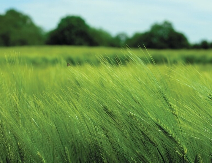 Реабилитация после COVID - Лечебные программы - Санаторий «им. Димитрова» Кисловодск