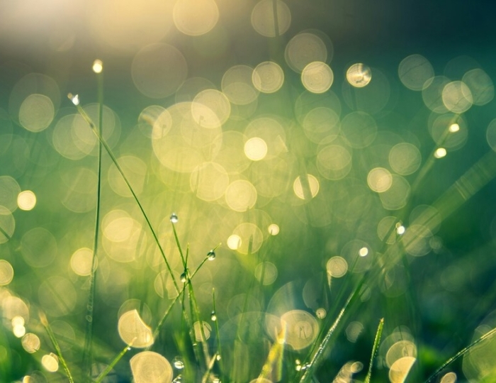 Гастроэнтерологическая программа - Лечебные программы - Санаторий «им. Димитрова» Кисловодск